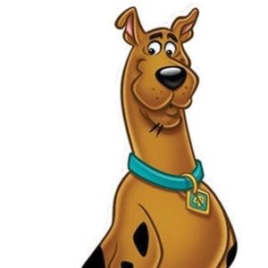 Meet your Posher, Joice